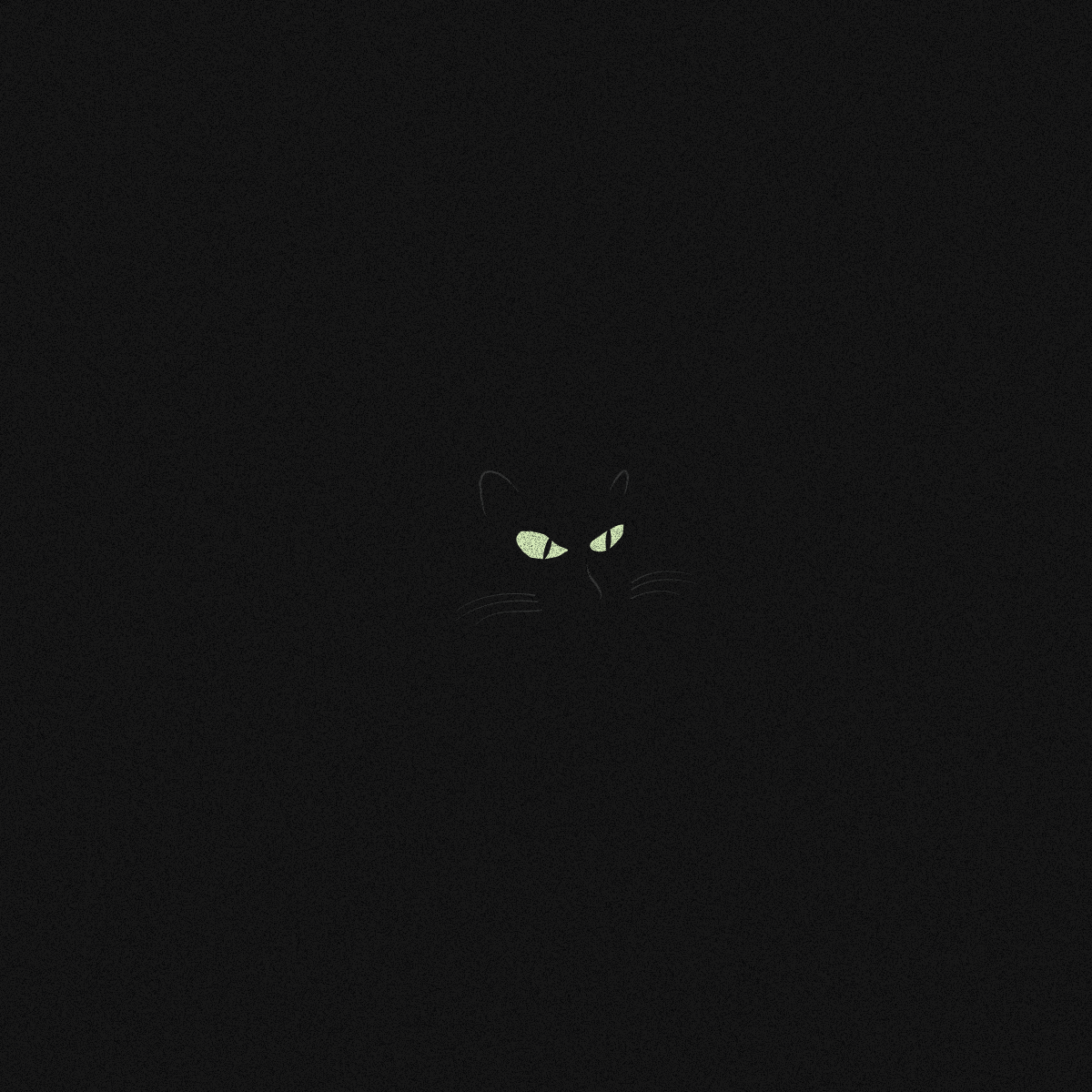 BlackCatA-01