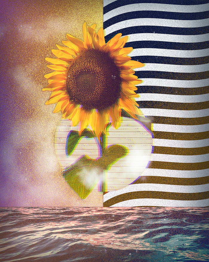 sunsup
